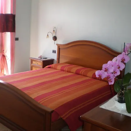 Orchidea Selvatica Levice