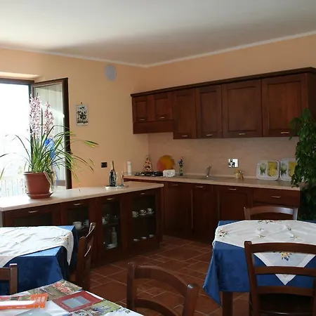 Orchidea Selvatica 3* Levice